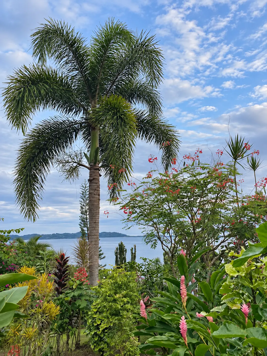 Palmier et fleurs tropicales avec la baie en arrière-plan
