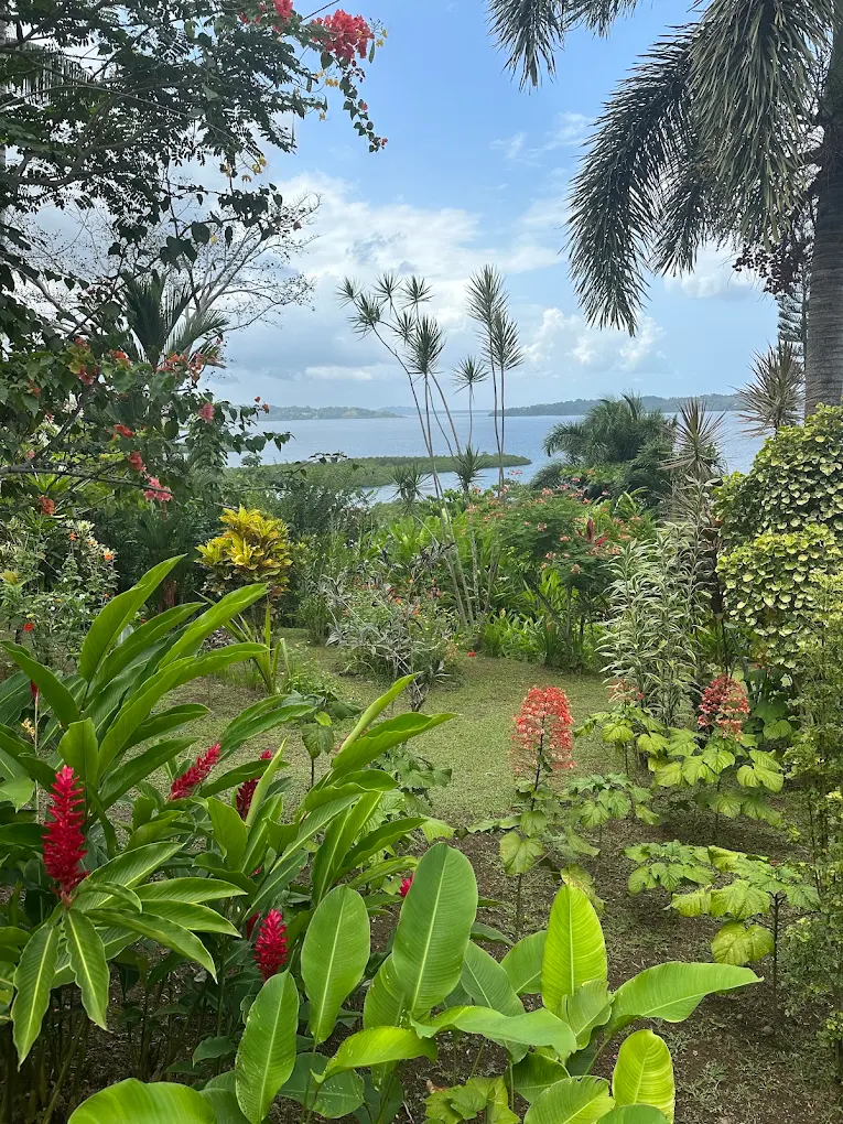 Jardin tropical fleuri avec vue sur la mer