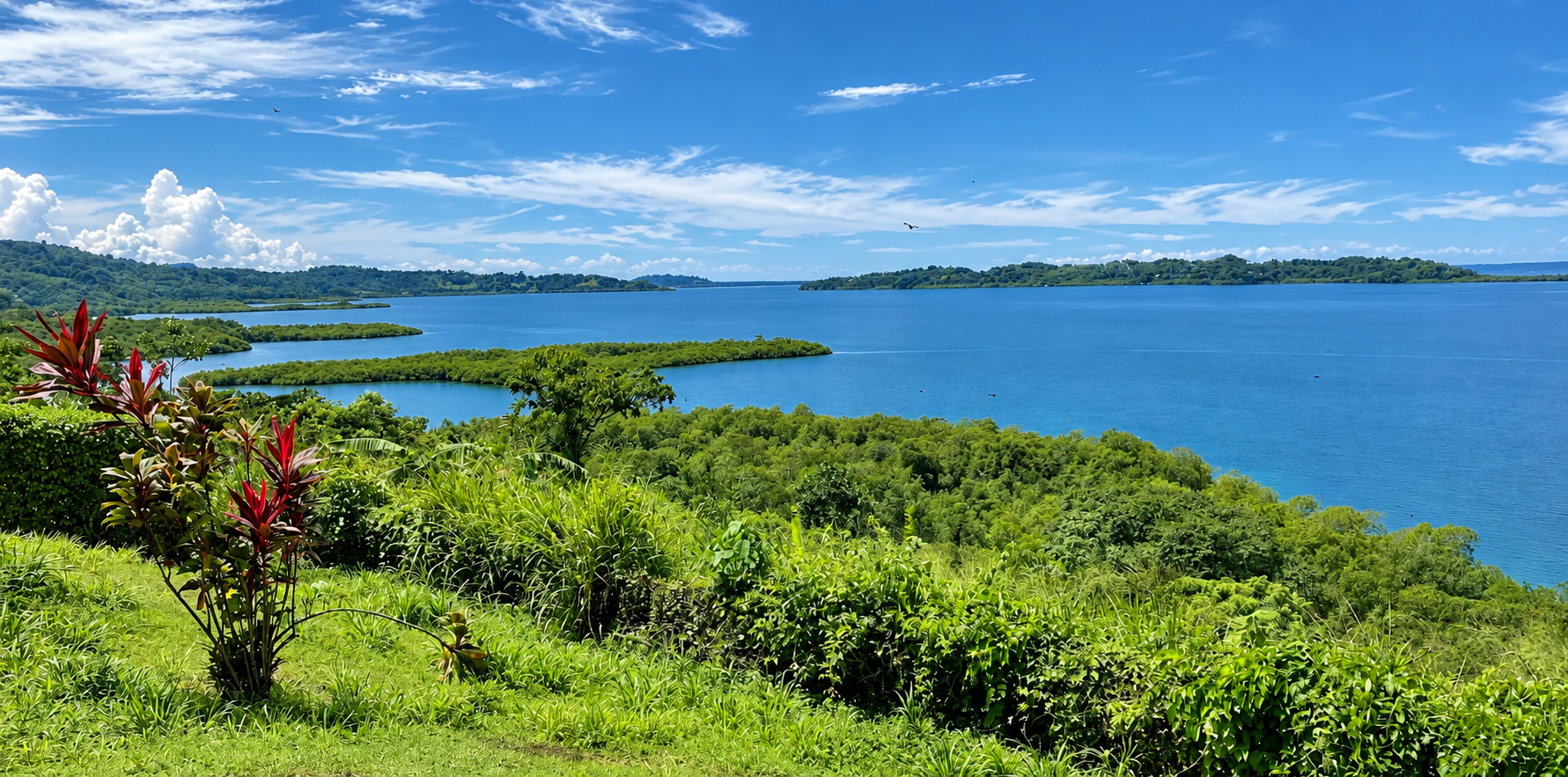 Vue panoramique sur la baie tropicale et ses îlots